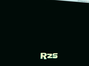 Rzs