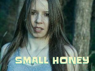 SMALL_HONEY