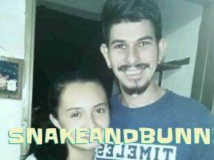 SNAKEANDBUNNY