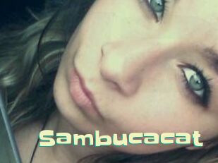 Sambucacat