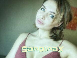 SanDinaX