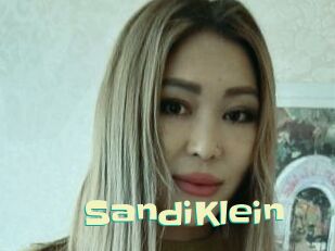 SandiKlein