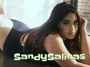 SandySalinas