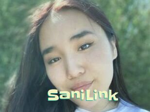 SaniLink