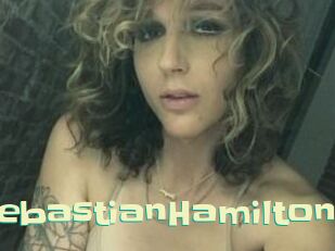 Sebastian_Hamilton Wanna Meet