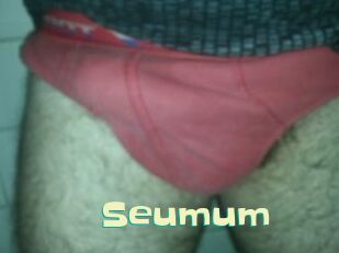 Seumum Wanna Meet