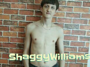 ShaggyWilliams Wanna Meet
