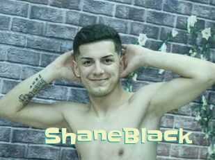 ShaneBlack