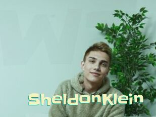 SheldonKlein