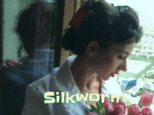 Silkworm