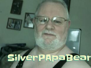 SilverPApaBear