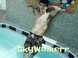 SkyWalkerr