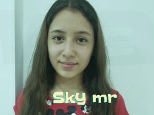 Sky_mr Wanna Meet