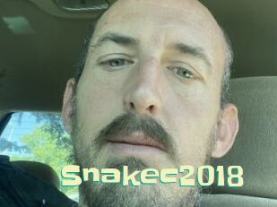 Snakec2018