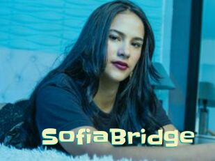SofiaBridge