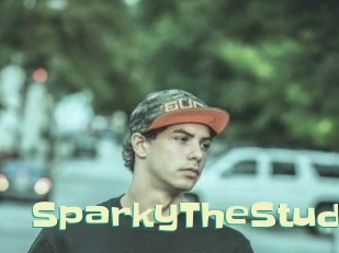 SparkyTheStud