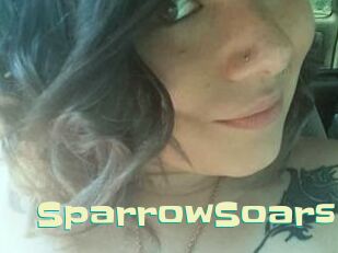 SparrowSoars