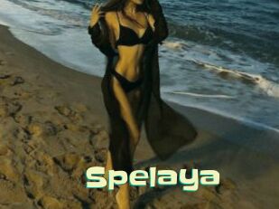 Spelaya