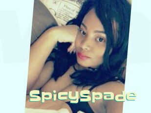 SpicySpade