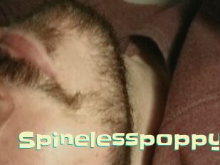 Spinelesspoppy