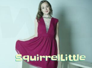 SquirrelLittle