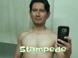 Stampede