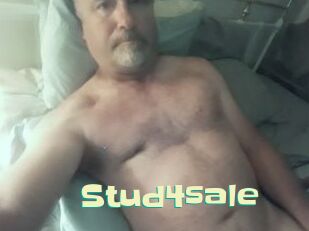 Stud4sale