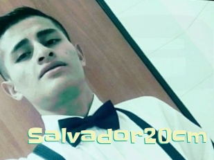 Salvador20cm