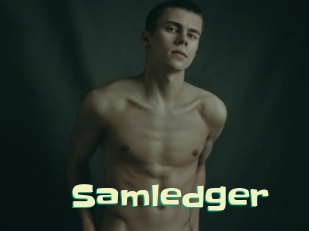 Samledger