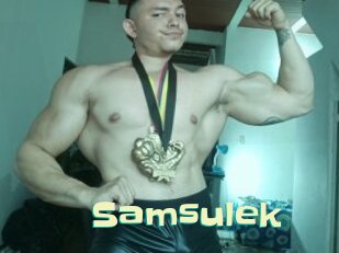 Samsulek