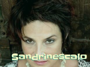 Sandrinescalo