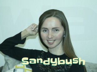 Sandybush