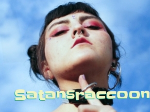 Satansraccoon