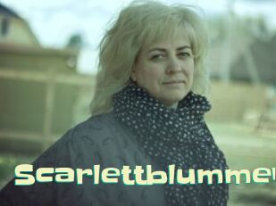 Scarlettblummen
