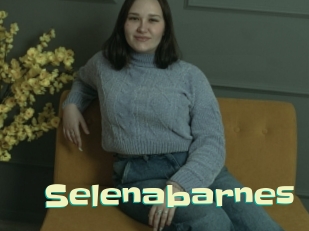 Selenabarnes
