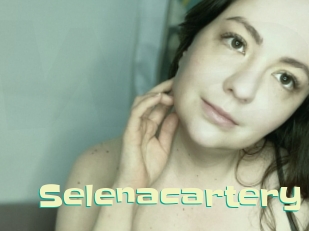 Selenacartery