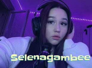Selenagambee
