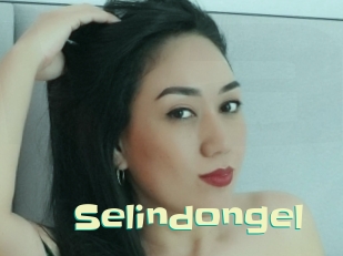 Selindongel