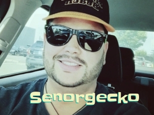 senorgecko Wanna Meet