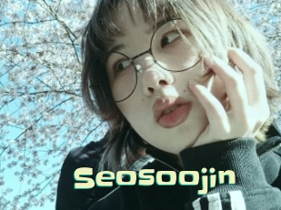 Seosoojin