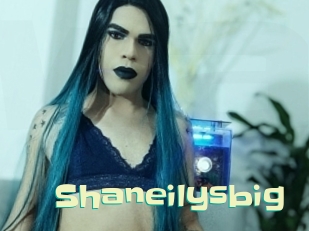 Shaneilysbig