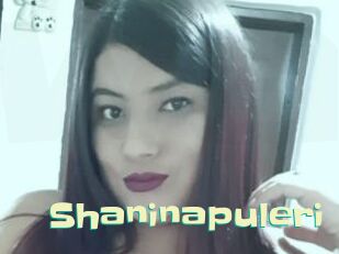 Shaninapuleri