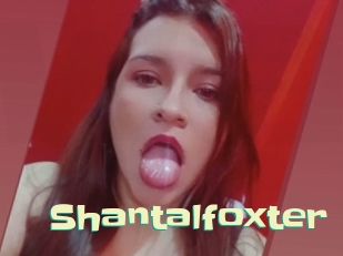 Shantalfoxter