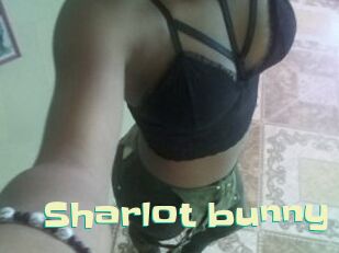 Sharlot_bunny