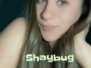Shaybug