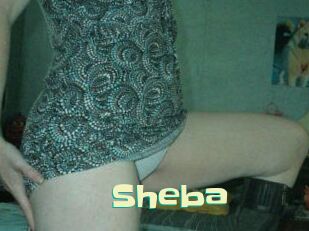sheba Wanna Meet