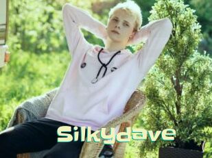 Silkydave