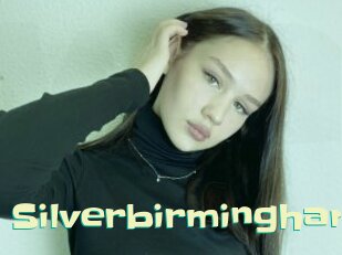 silverbirmingham Wanna Meet