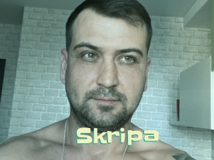 Skripa