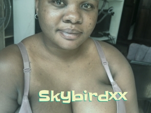 Skybirdxx